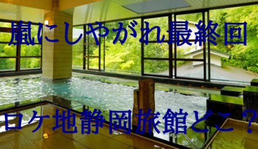 【嵐にしやがれ】最終回ロケ地静岡の温泉旅館『楽山やすだ』1泊3万!